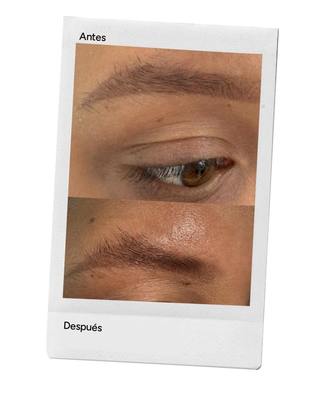 Divabrow - Serum para el crecimiento de cejas